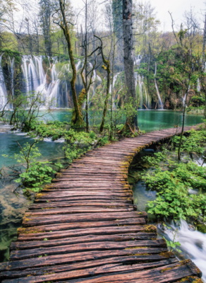 Blanc Croatian Pathways - puzzle image