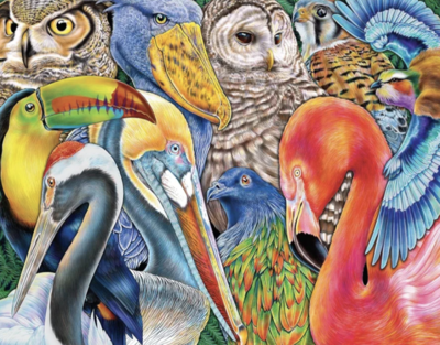 Buffalo Games Bird Bonanza - obrázek puzzlí