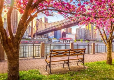 Roovi Manhattan, New York - United States - puzzle image