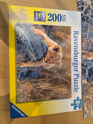 Ravensburger Little Lion - obrázek puzzlí