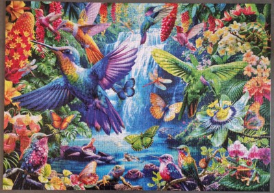 Trefl Tropical Hummingbirds - puzzle image