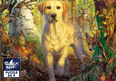 Black Sea Puzzles Adventure in the Forest - obrázek puzzlí