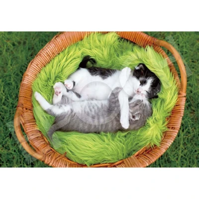 Epoch Good Night Kitten - obrázek puzzlí