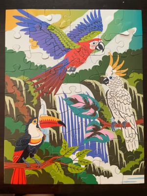 Portland Puzzle Company Birds - obrázek puzzlí
