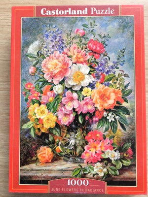 Castorland June Flowers in Radience - puzzle image