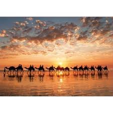Educa Golden sunset on Cable Beach, Australia - obrázek puzzlí