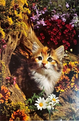 Jumbo Kitten in Autumn - obrázek puzzlí