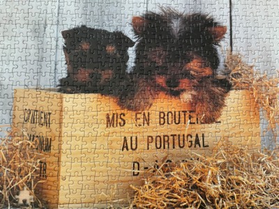 MB Puzzle Puppies - obrázek puzzlí