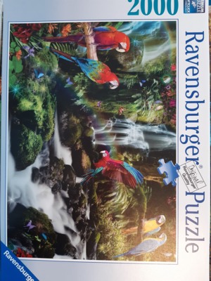 Ravensburger Parrots' Paradise - obrázek puzzlí