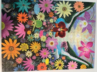 Pomegranate Rainbow Falls - puzzle image