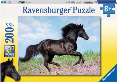 Ravensburger Black Stallion - puzzle image