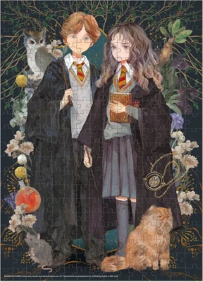 Dodo Harry Potter: Ron a Hermiona - puzzle image