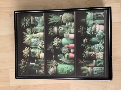 Temu Succulents - puzzle image