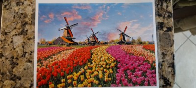 Peter Pauper Press Windmills and Tulips - imagen del puzzle