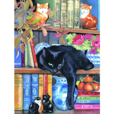 SunsOut On the shelf - obrázek puzzlí
