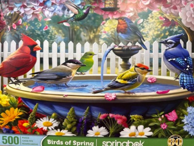 Springbok Birds of Spring - obrázek puzzlí