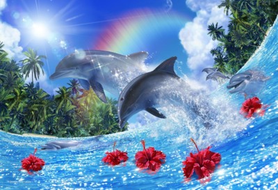 Yanoman Lassen ShinIng Dolphins - obrázek puzzlí