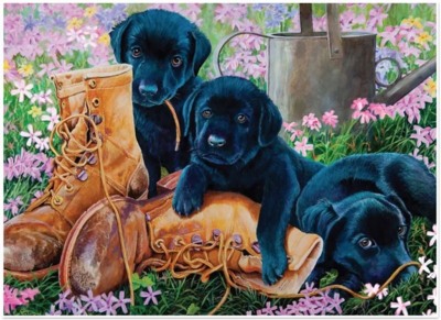 Cobble Hill Trouble in the Garden - image du puzzle