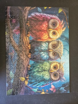 Castorland Three Little Owls 300 - obrázek puzzlí