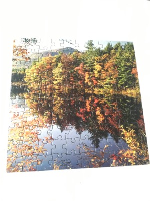 BV Leisure Lake - puzzle image