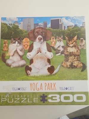 Eurographics Yoga park - puzzle image