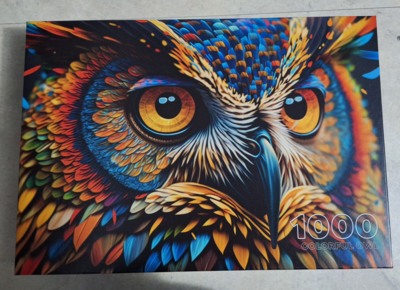 Roovi Colorful owl - obrázek puzzlí