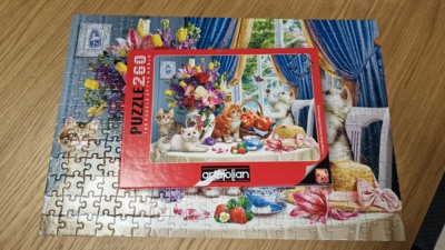 Anatolian Fluffy Kittens in the living room - obrázek puzzlí