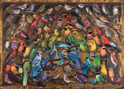 Ravensburger Rainbow of Birds - image du puzzle