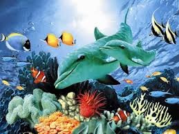 Ravensburger Dolphin Duo - obrázek puzzlí