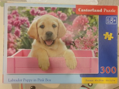 Castorland Labrador Puppy in Pink Box - パズル画像
