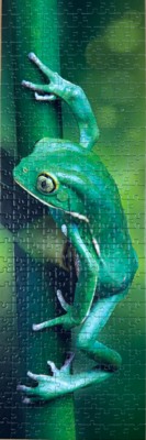 Trefl Little Frog - obrázek puzzlí