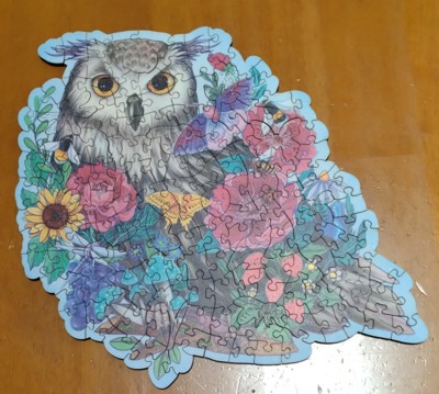 Ravensburger Mysterious Owl - obrázek puzzlí