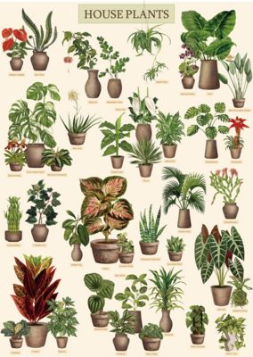 Bboldin House Plants - obrázek puzzlí