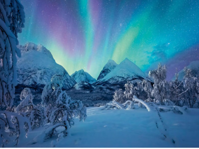 Ravensburger The Arctic Show - obrázek puzzlí