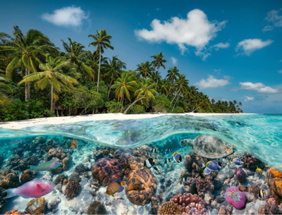 Ravensburger A Dive in the Maldives - obrázek puzzlí