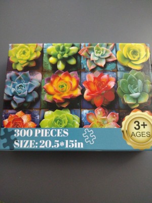 Made in China Succulents - obrázek puzzlí