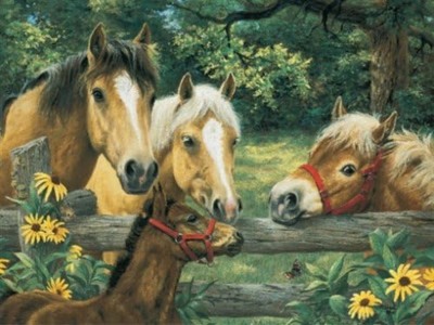 Ravensburger Horse Whispers - obrázek puzzlí