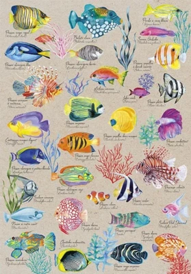 Calypto Poissons exotiques - obrázek puzzlí