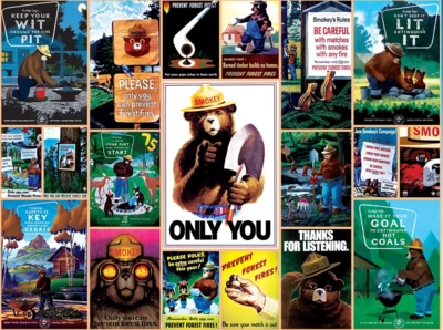 Masterpieces Smokey Bear - puzzle image