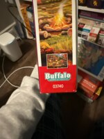 Buffalo Games Days to remember: evening at camp - puzzle image