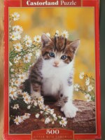 Castorland Kitten with camomile - puzzle image