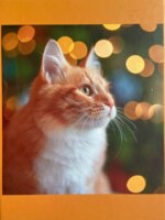 Perfectly Puzzling Yellow Cat - puzzle image