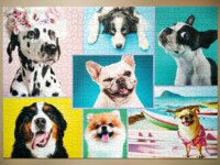Trefl Psí portréty - obrázek puzzlí