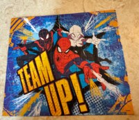 Spin Master Spider-man - puzzle image
