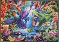 Trefl Tropical Hummingbirds - puzzle image