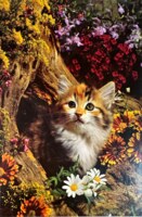 Jumbo Kitten in Autumn - obrázek puzzlí