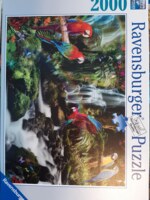 Ravensburger Parrots' Paradise - puzzle image