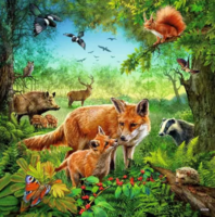 Ravensburger Animals of the Earth - Forest - puzzle image