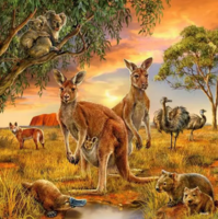 Ravensburger Animals of the Earth - Australia - puzzle image