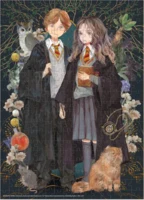 Dodo Harry Potter: Ron a Hermiona - puzzle image